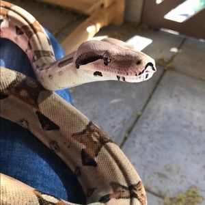 Meet your Posher, Natalie